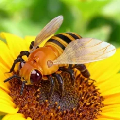 ABEILLE RADIOCOMMANDEE
