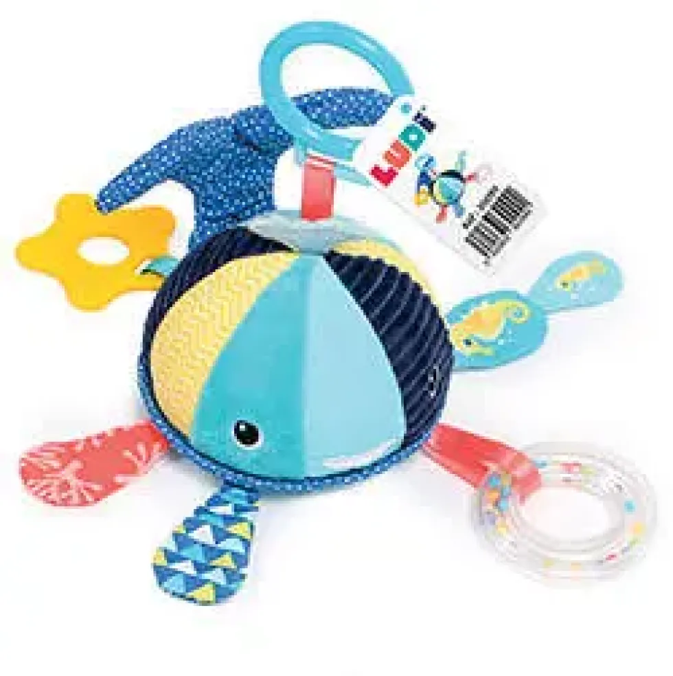 ACTIVITE A SUSPENDRE BALEINE
