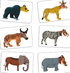 ANIJUMBLE