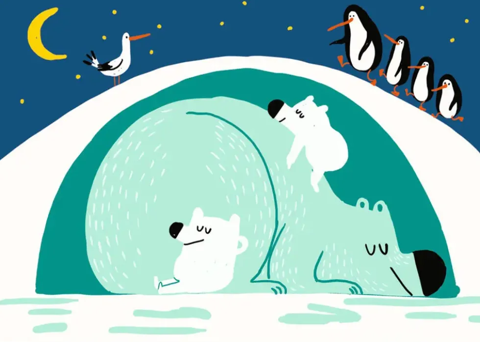 ANIMAUX A DECOUVRIR
