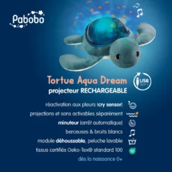 AQUA DREAM PROJECTEUR EFFETS AQUATIQUES
