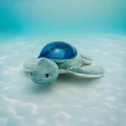 AQUA DREAM PROJECTEUR EFFETS AQUATIQUES