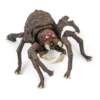 ARACHNOS
