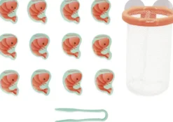 ATTRAPE CREVETTES DU BAIN