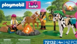 BALADE A CHEVAL ET FEU DE CAMP 72132