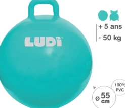 BALLON SAUTEUR XXL BLEU