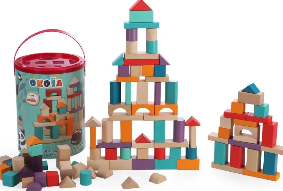 BLOCS DE CONSTRUCTION - 100 PIECES