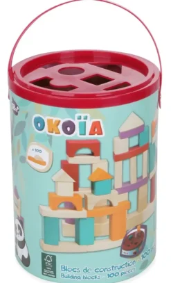 BLOCS DE CONSTRUCTION - 100 PIECES