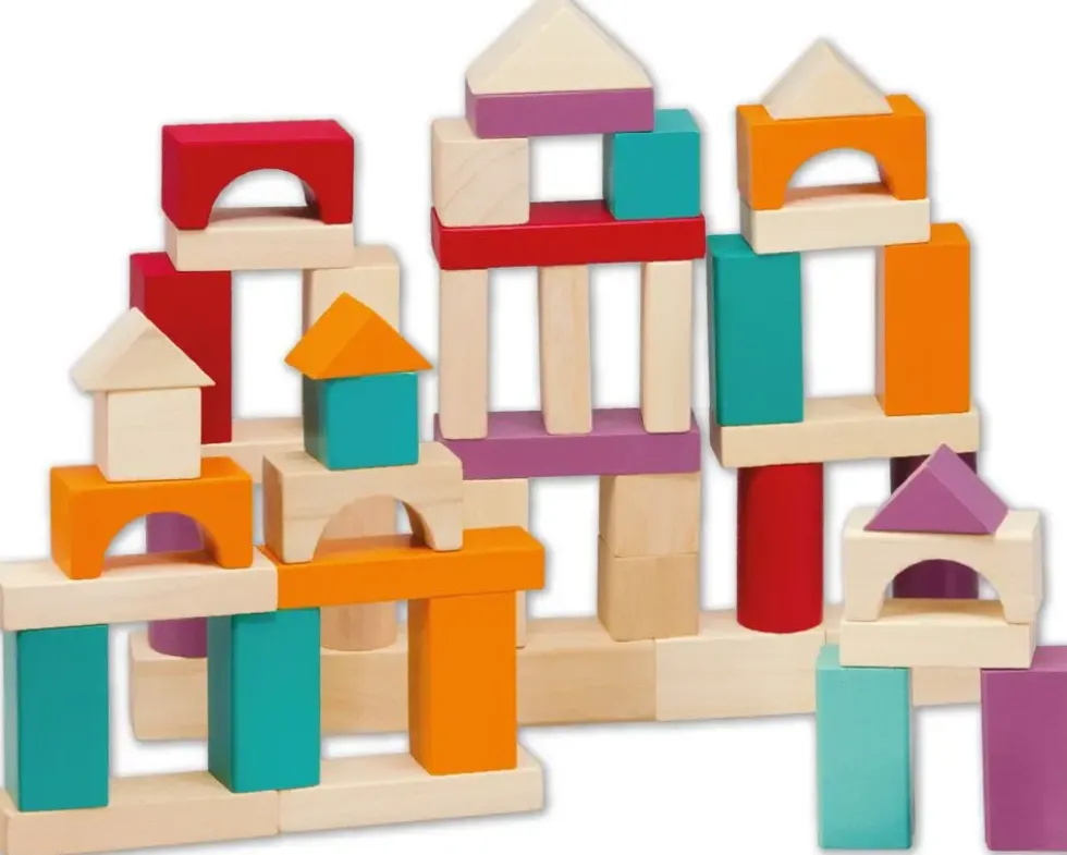 BLOCS DE CONSTRUCTION - 100 PIECES
