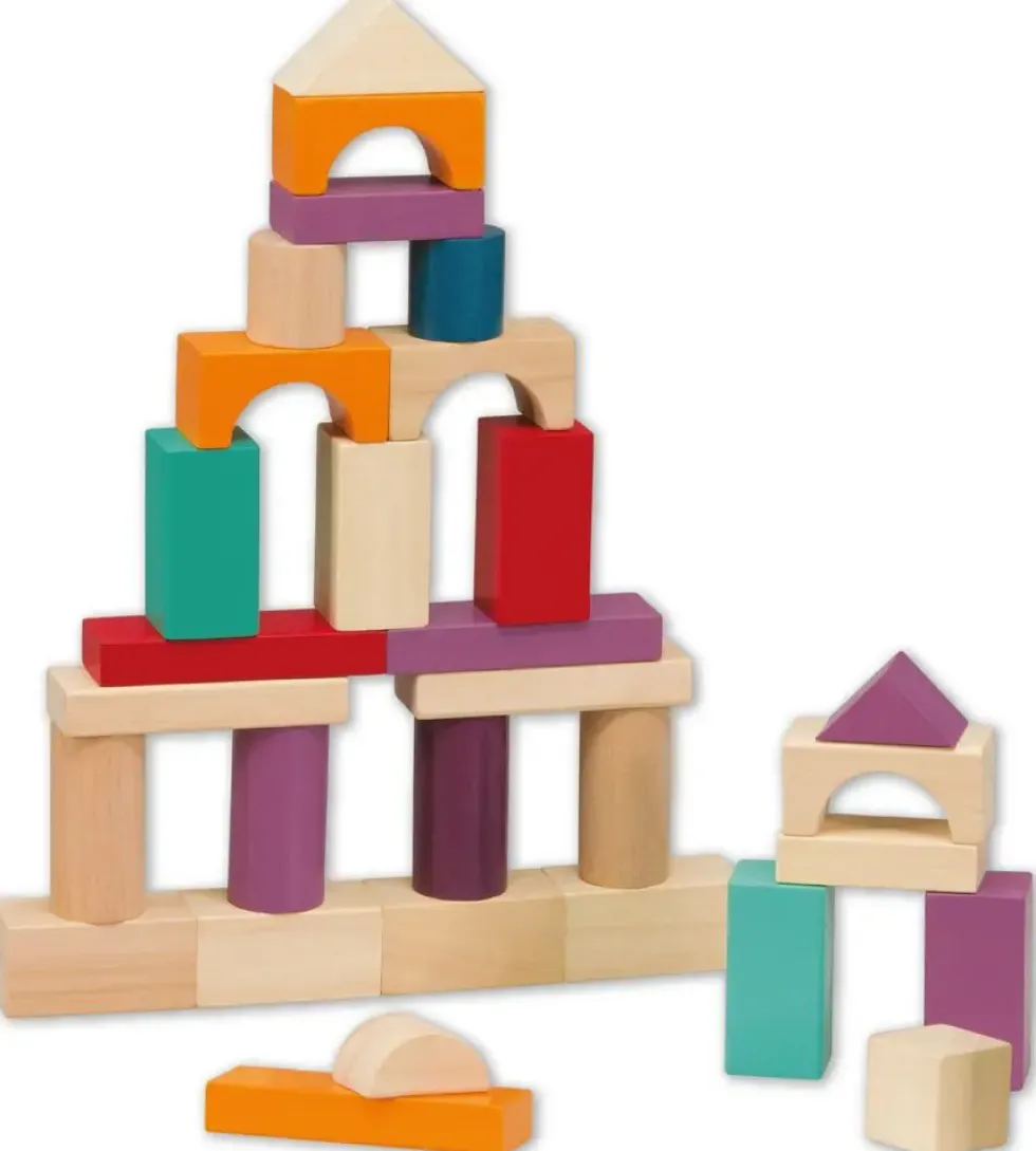 BLOCS DE CONSTRUCTION - 100 PIECES