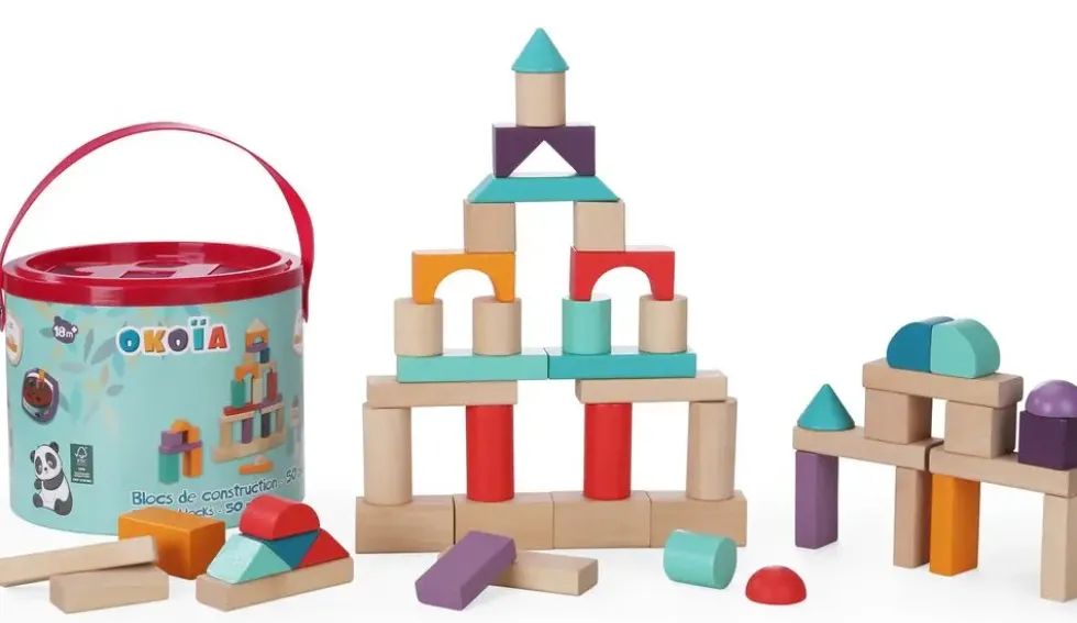 BLOCS DE CONSTRUCTION - 50 PIECES
