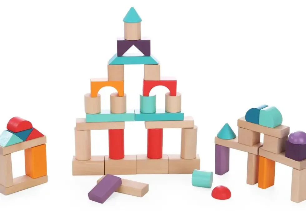 BLOCS DE CONSTRUCTION - 50 PIECES