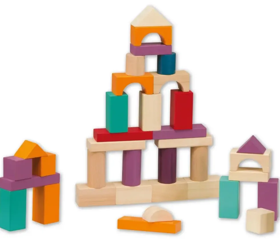 BLOCS DE CONSTRUCTION - 50 PIECES