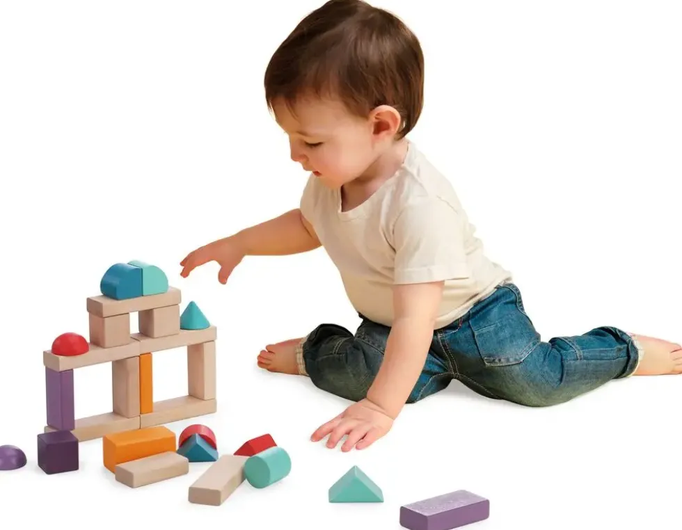 BLOCS DE CONSTRUCTION - 50 PIECES