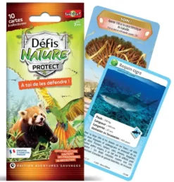 BOOSTER DE 10 CARTES - EDITION 2