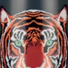 BOTTLE UP - BOUTEILLE ISOTHERME TIGER 500ML