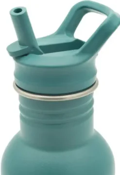 BOUTEILLE EN ACIER INOXYDABLE - 500 ML CRUNCHY LE RENARD