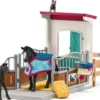 BOX AVEC JUMENT ET POULAIN APPALOOSA