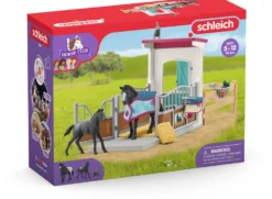 BOX AVEC JUMENT ET POULAIN APPALOOSA