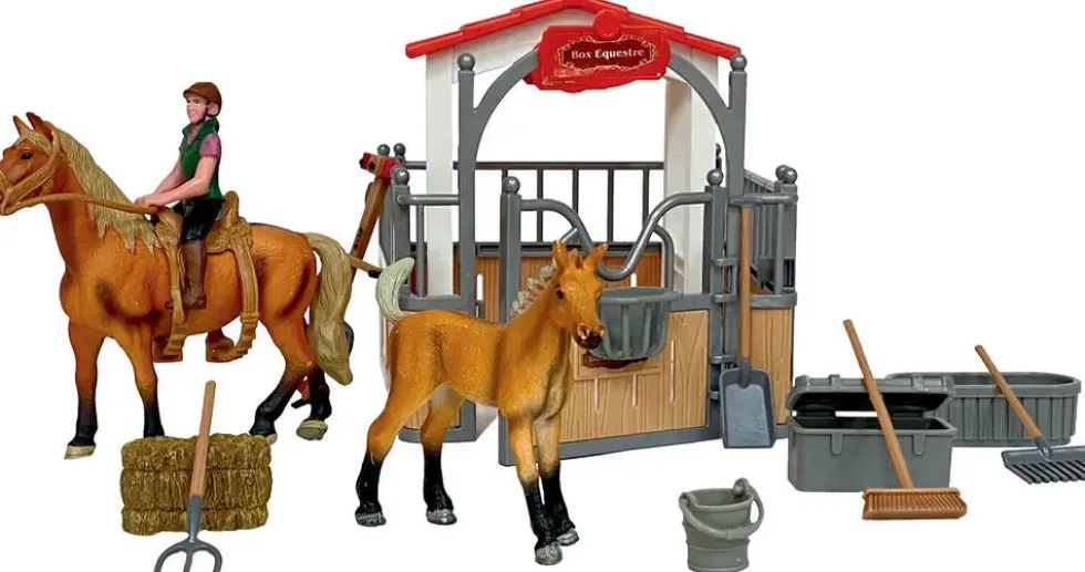 BOX EQUESTRE