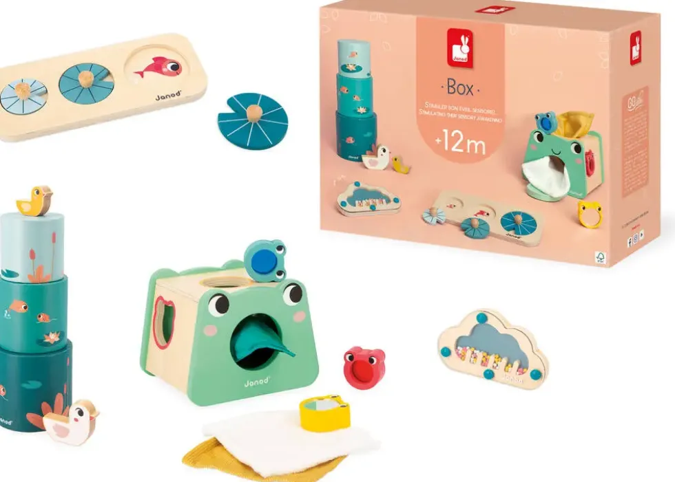 BOX 12 MOIS