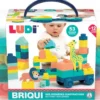 BRIQUI
