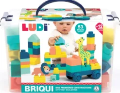 BRIQUI