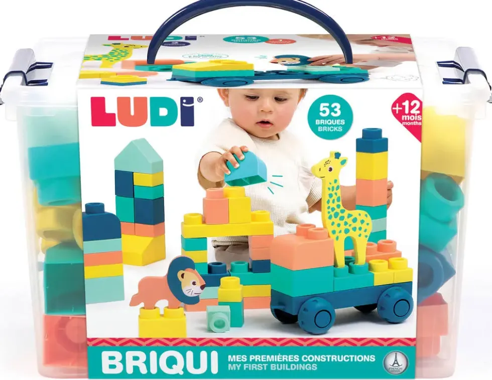 BRIQUI