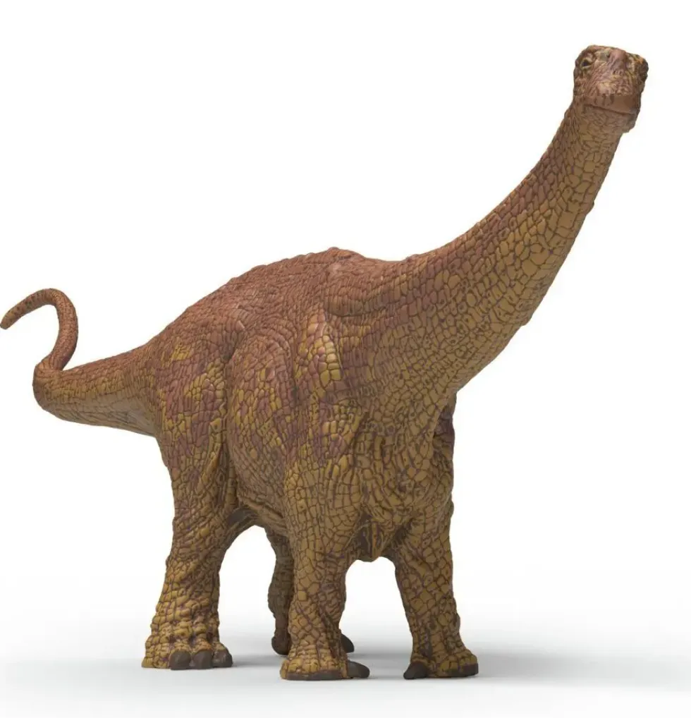 BRONTOSAURUS