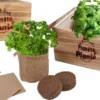 CAISSE EN BOIS CARRE AVEC 4 SACS DE JUTE AVEC DOUBLURE EN PLASTIQUE AVEC GRAINES ET SUBSTRAT