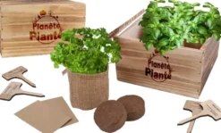 CAISSE EN BOIS CARRE AVEC 4 SACS DE JUTE AVEC DOUBLURE EN PLASTIQUE AVEC GRAINES ET SUBSTRAT