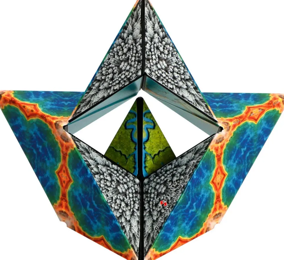 CASSE- TETE 3D - SHASHIBO TERRE
