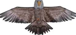CERF VOLANT AIGLE