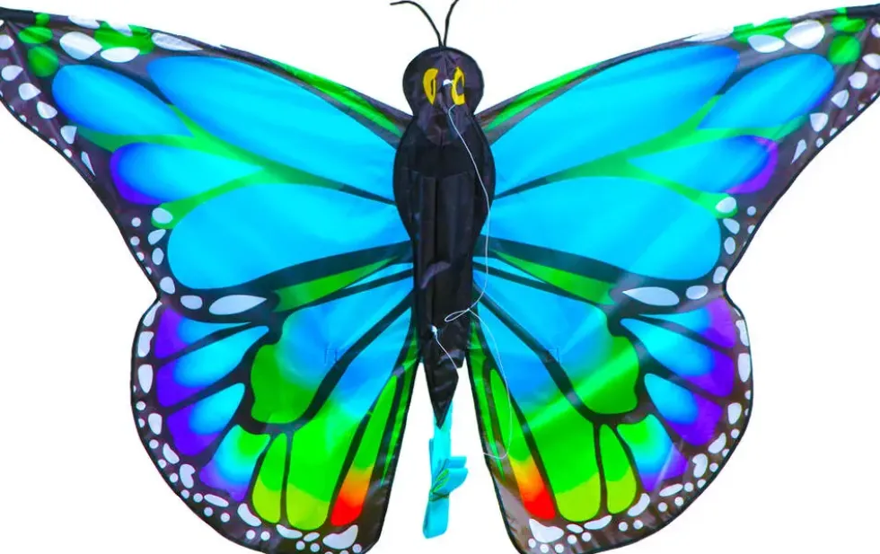 CERF VOLANT PAPILLON