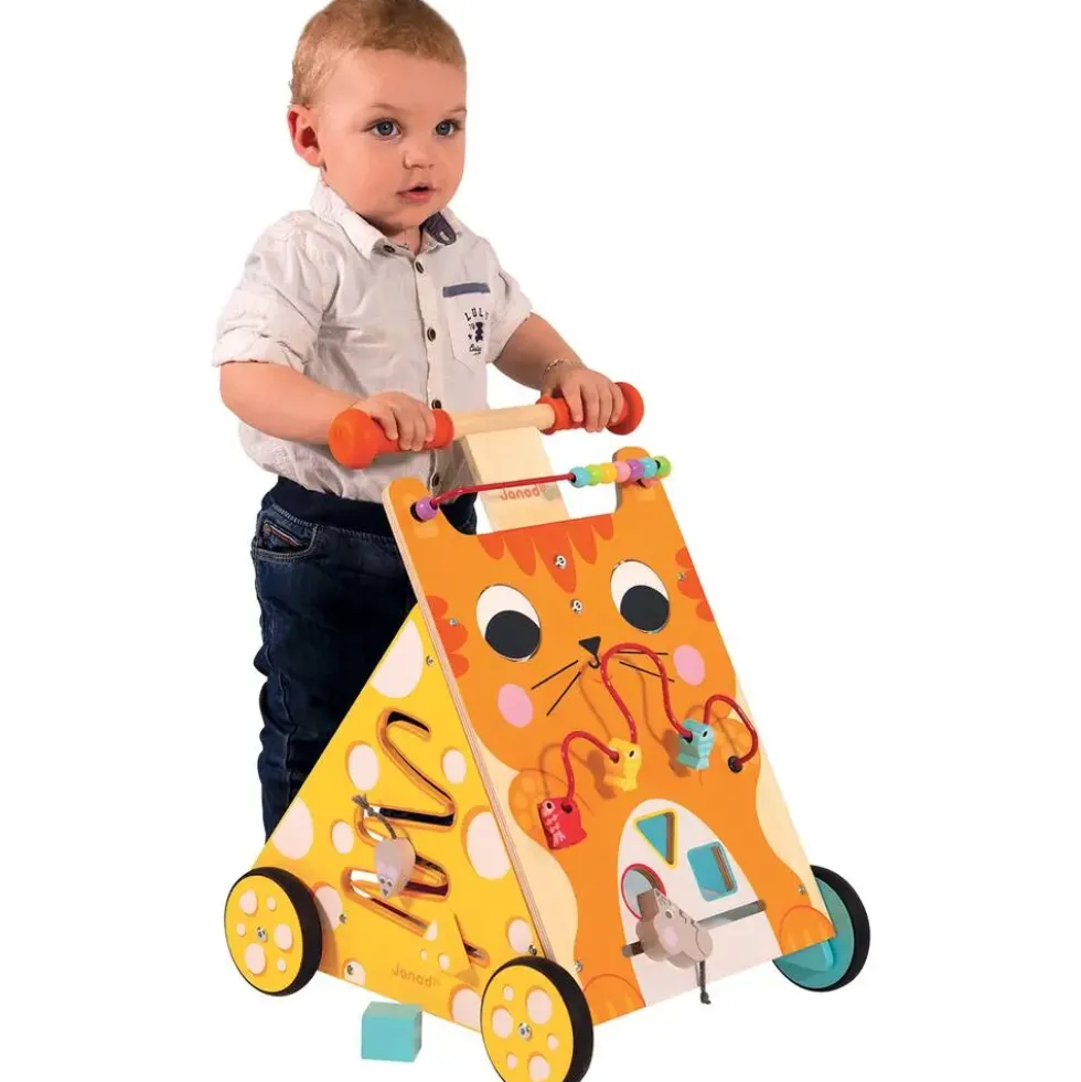 CHARIOT MULTI-ACTIVITES CHAT -EN BOIS
