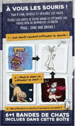 CHAT DE POCHE