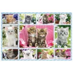 CHATONS PUZZLE 100 PIECES