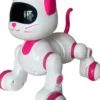 CHAT ROBOT RADIOCOMMANDE