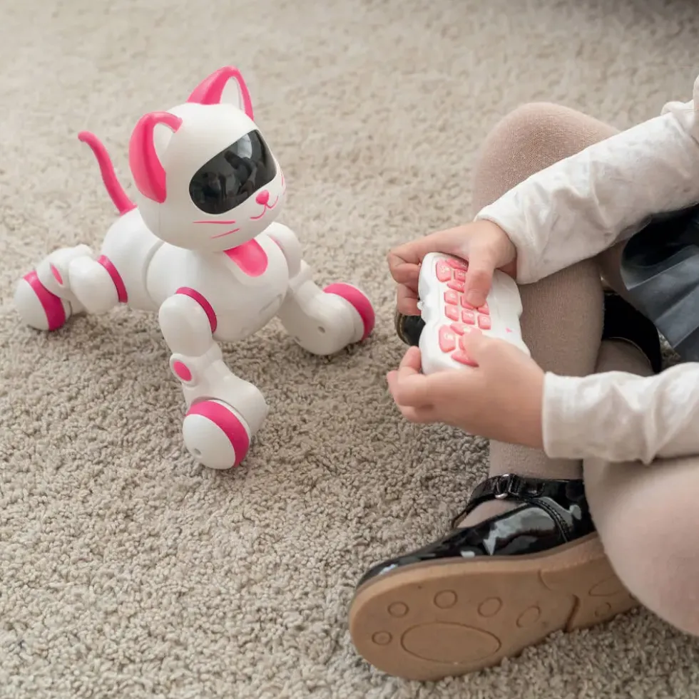 CHAT ROBOT RADIOCOMMANDE