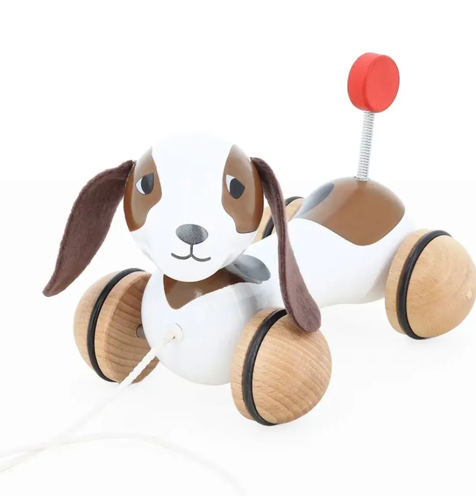CHIEN A TRAINER SOT-SIX