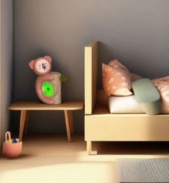 COACH SOMMEIL KOALA