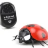 COCCINELLE RADIOCOMMANDEE