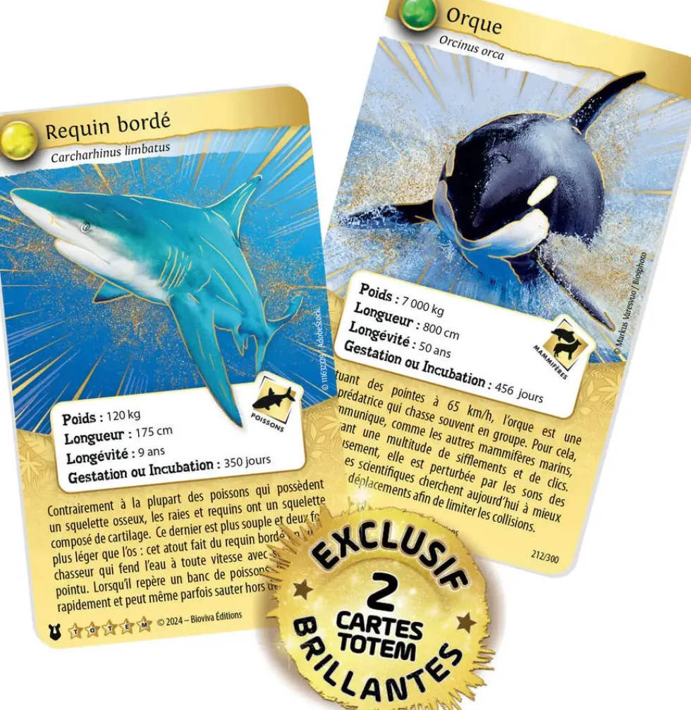 COFFRET ORQUE ET REQUIN - 4 BOOSTERS ET 2 CARTES TOTEMS