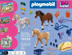 COLLECTION DE TROIS CHEVAUX 72133