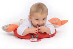 COUSSIN D'ACTIVITES RENARD