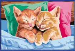 CREART KIDS31X21CMCHATONS ENDORMIS