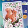 CREART KIDS18X24CMECUREUIL AU PRINTEMPS