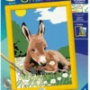 CREART KIDS13X18CML'ANE