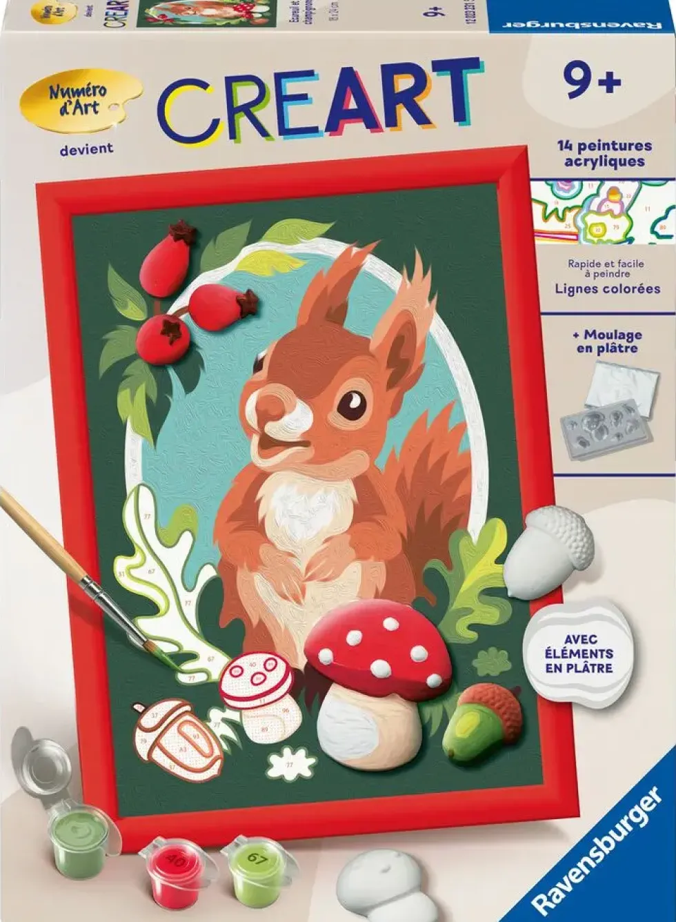 CREART KIDS - 18X24CM - PLATRE : ECUREUIL ET CHAMPIGNONS
