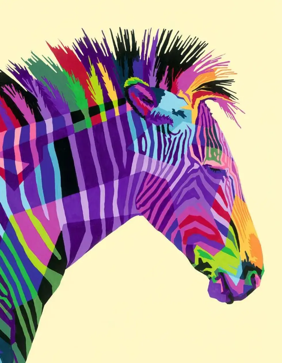 CREART PEINTURE PAR NUMERO GRAND - ZEBRE